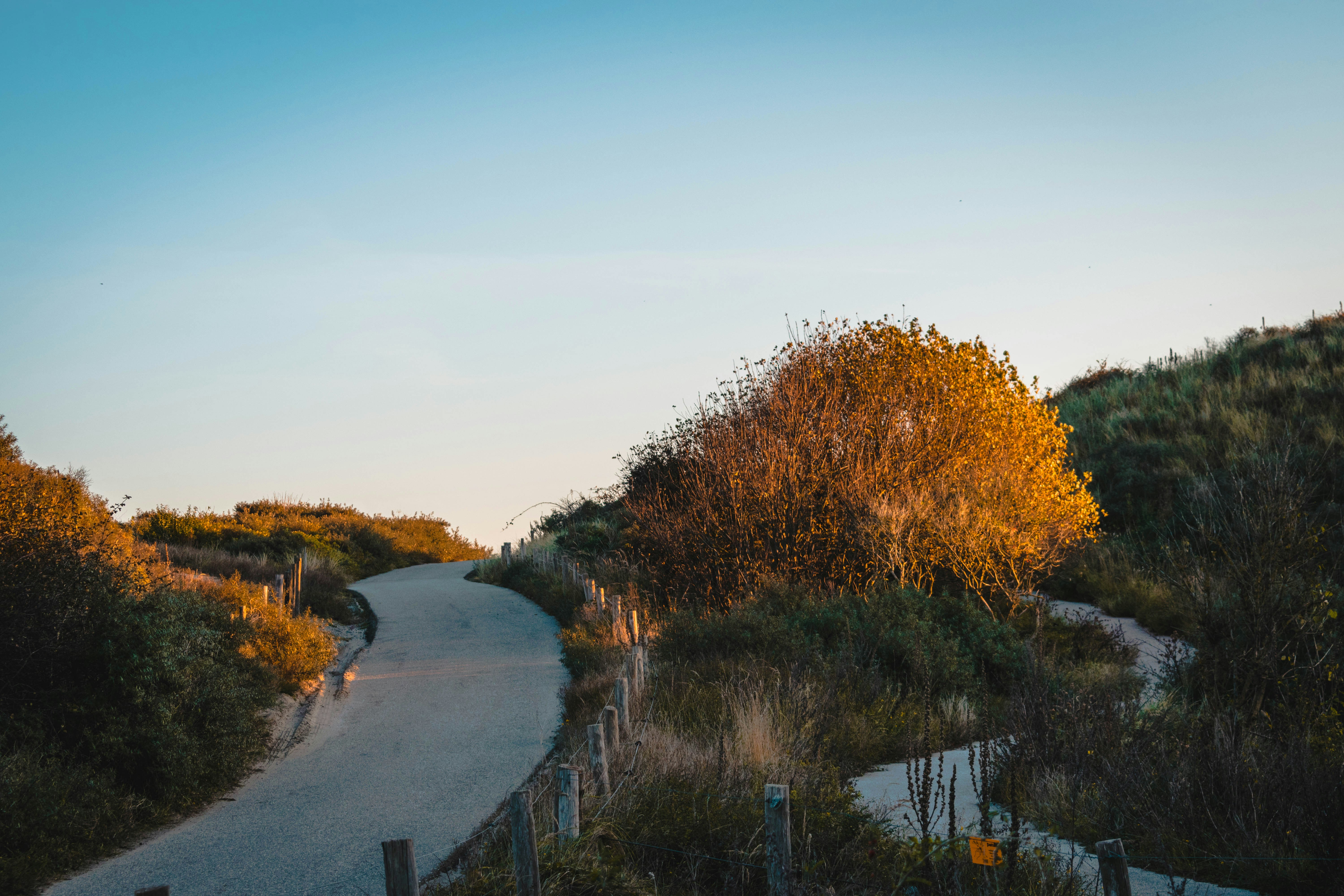 Photo by Robert Timmer on Unsplash